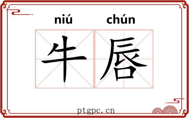 牛唇
