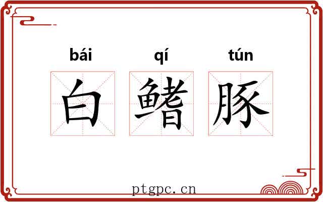 白鳍豚 白鳍豚