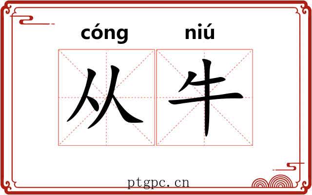 从牛