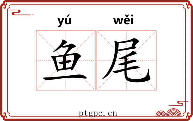 鱼尾