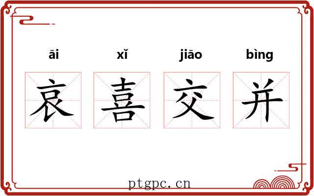哀喜交并 哀喜交并