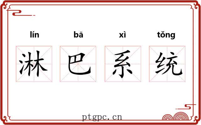淋巴系统