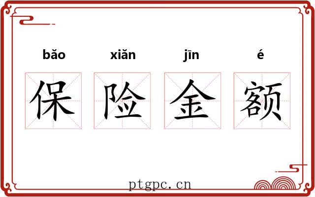 保险金额 保险金额