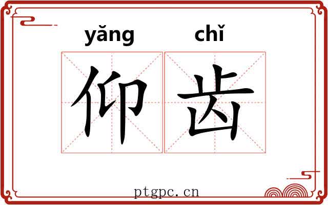 仰齿 仰齿