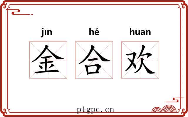 金合欢 金合欢