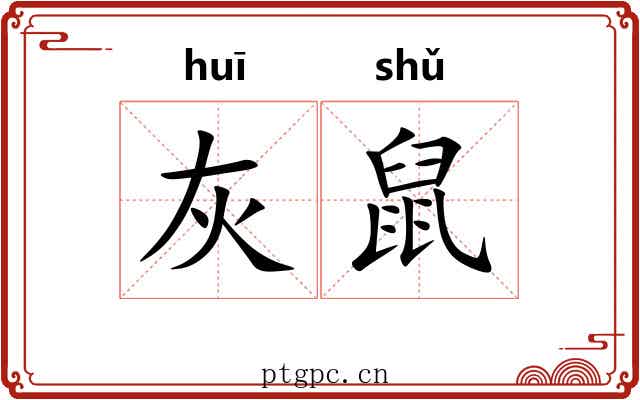 灰鼠