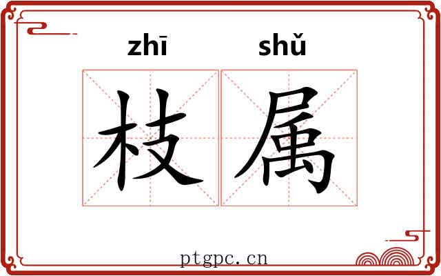 枝属