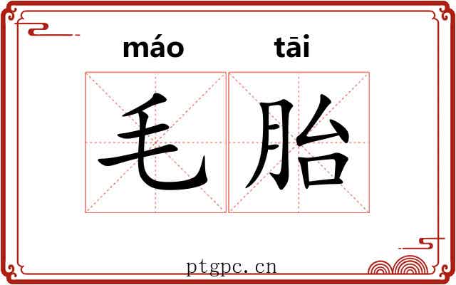 毛胎