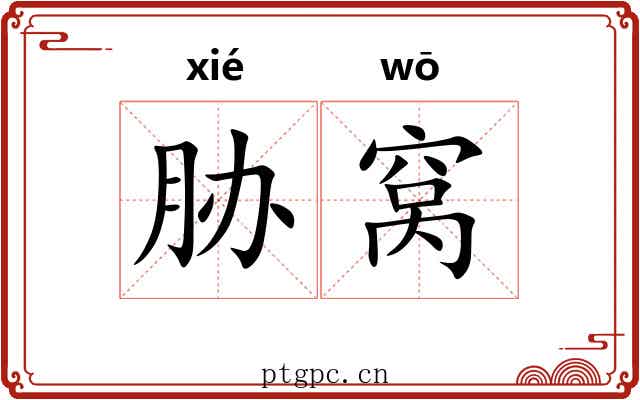 胁窝