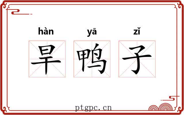 旱鸭子