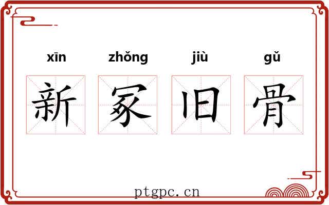 新冢旧骨
