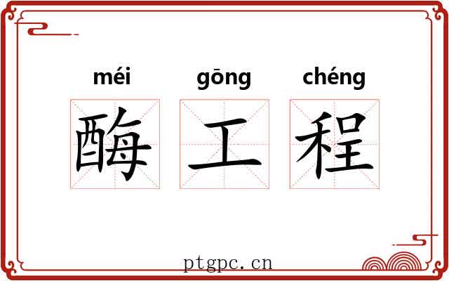 酶工程
