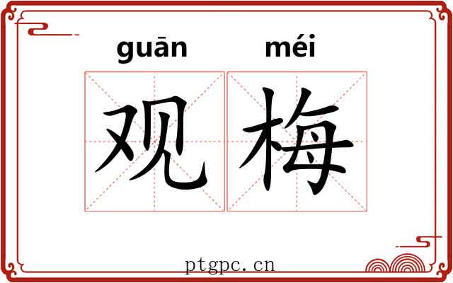 观梅 观梅