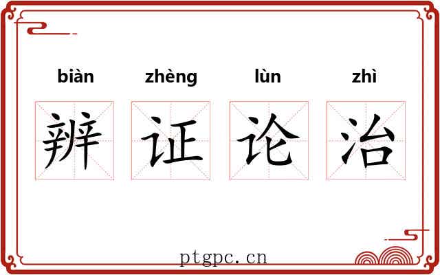 辨证论治 辨证论治