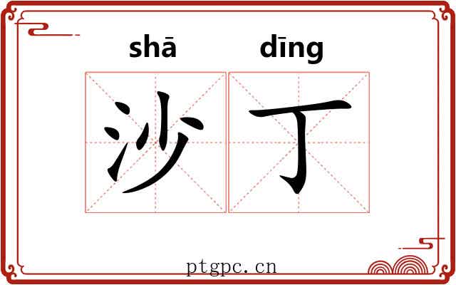沙丁