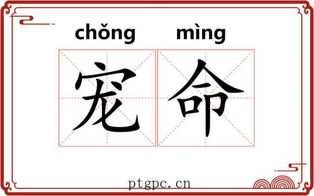 宠命