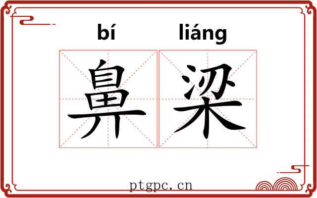 鼻梁 鼻梁