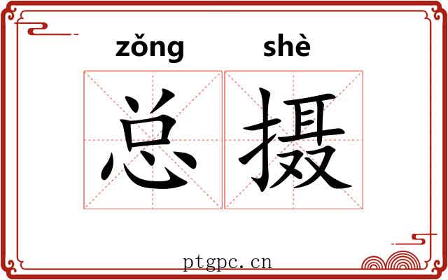 总摄