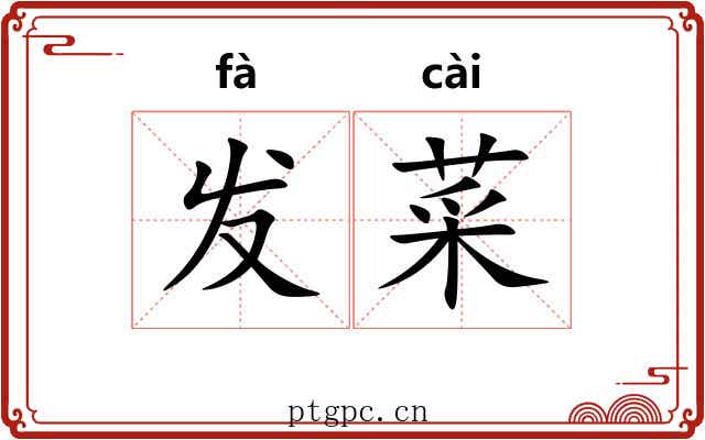 发菜 发菜