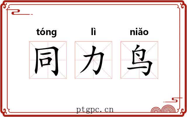 同力鸟