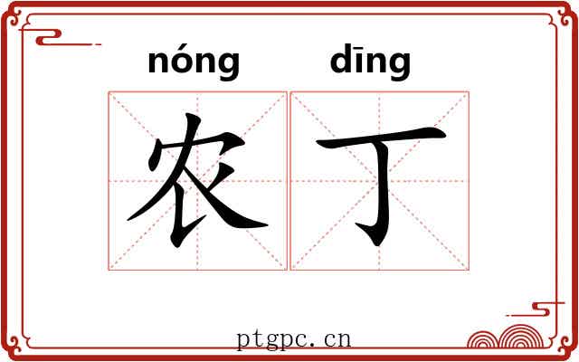 农丁
