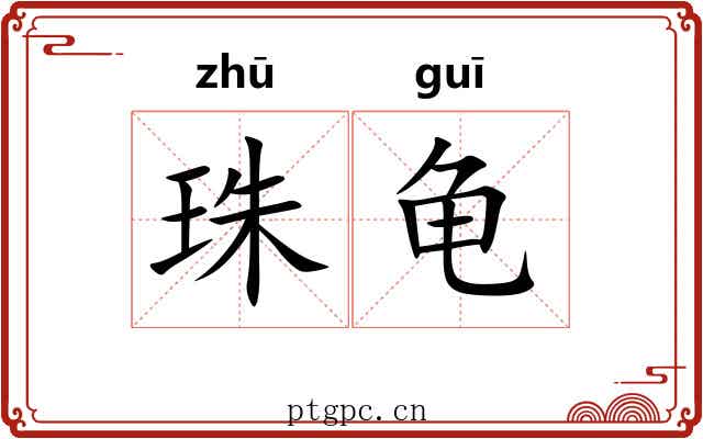珠龟