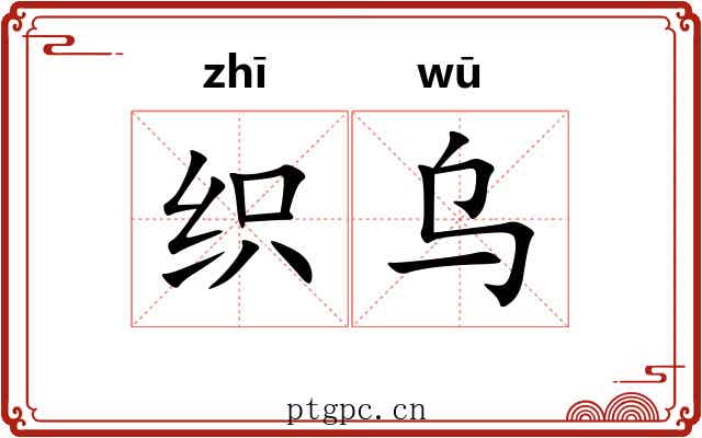 织乌