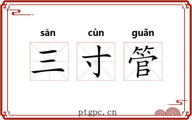 三寸管