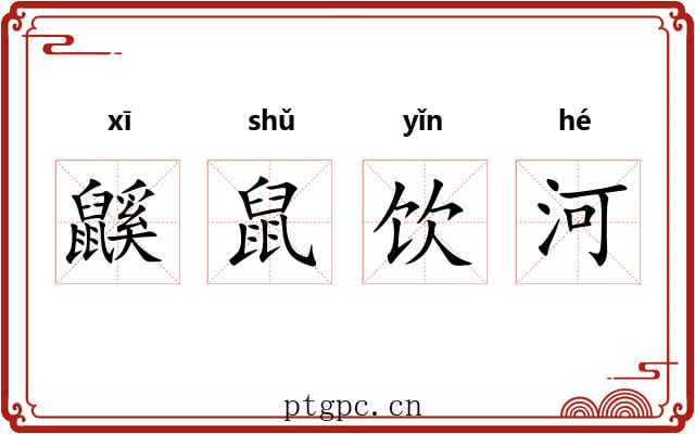 鼷鼠饮河