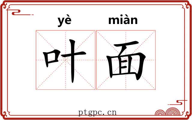 叶面 叶面