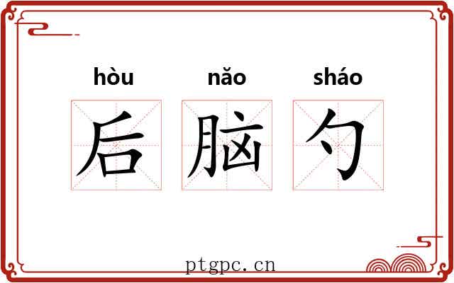 后脑勺
