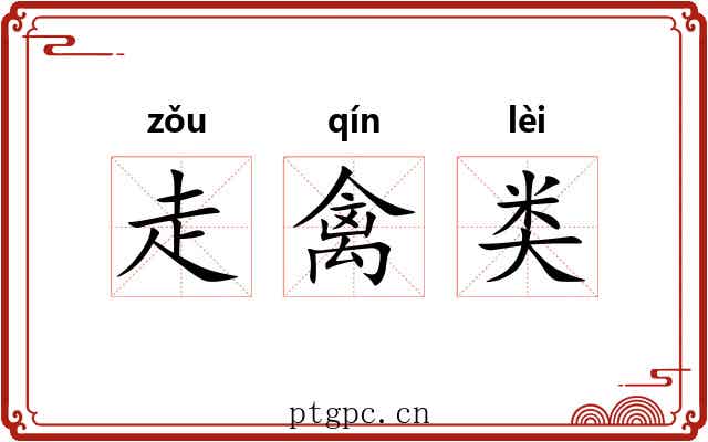 走禽类