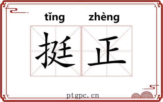 挺正 挺正