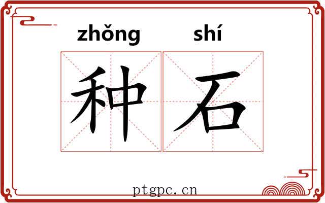 种石