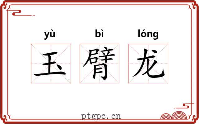 玉臂龙