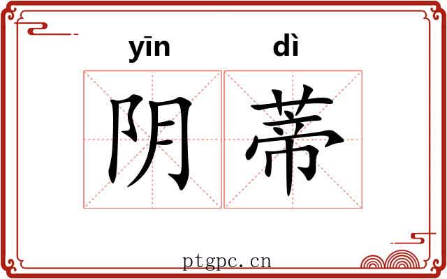阴蒂