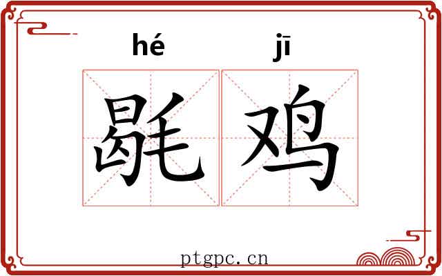 毼鸡