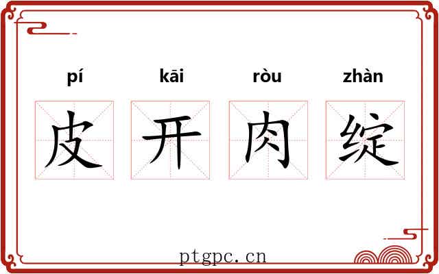 皮开肉绽 皮开肉绽