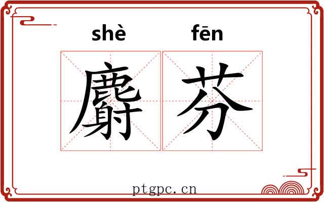麝芬