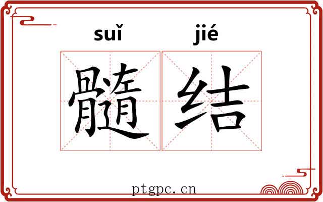 髓结