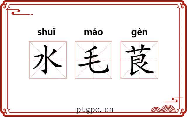 水毛茛 水毛茛