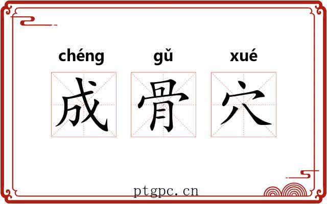 成骨穴 成骨穴