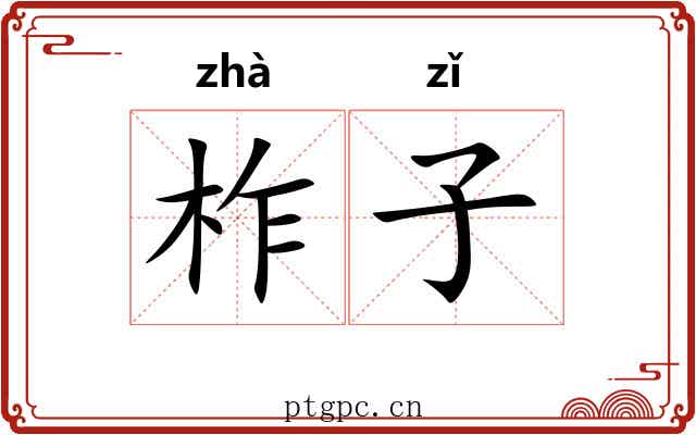 柞子