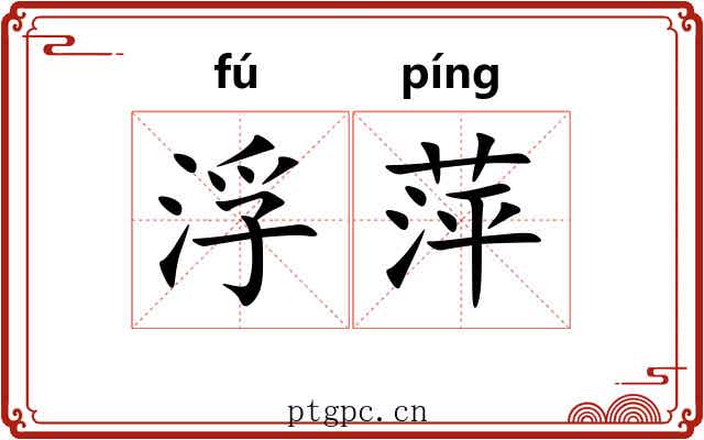 浮萍 浮萍