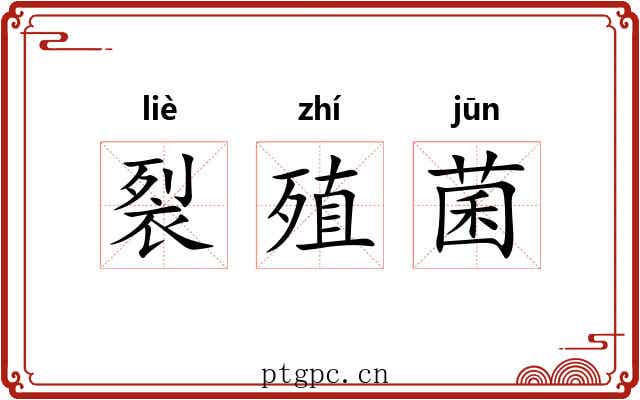 裂殖菌 裂殖菌