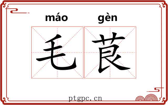 毛茛 毛茛