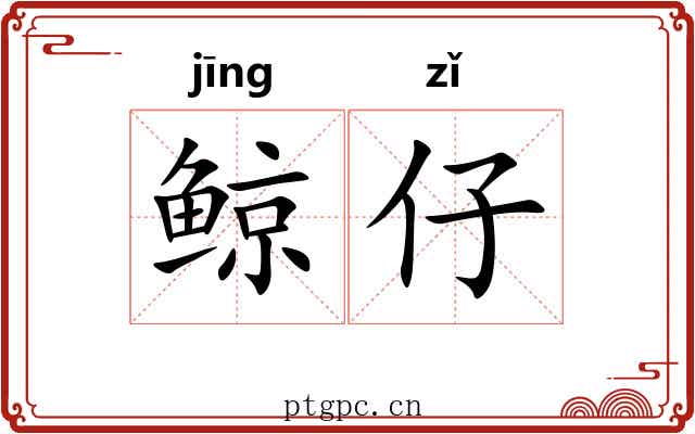 鲸仔