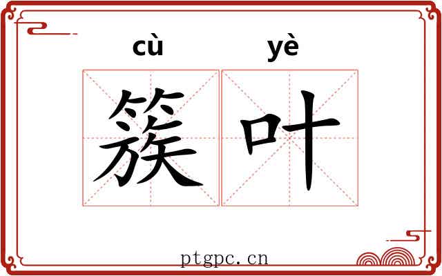 簇叶