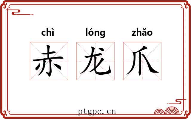 赤龙爪