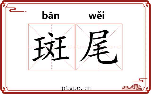 斑尾 斑尾